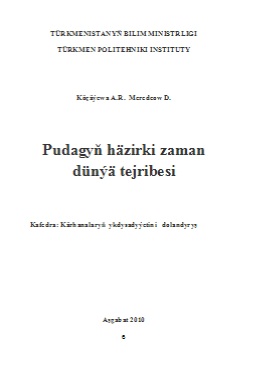 Pudagyň häzirki zaman dünýä tejribesi